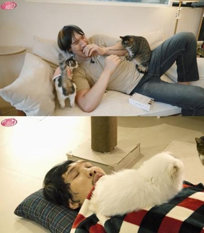  引用：SKブロードバンド「キーリングナム チェ・ホンマン」