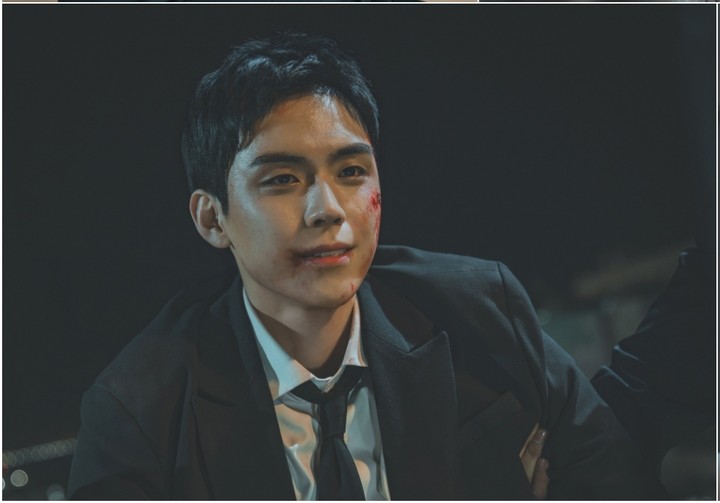  引用：MHN、tvN、ライブ、NETFLIX、TVING