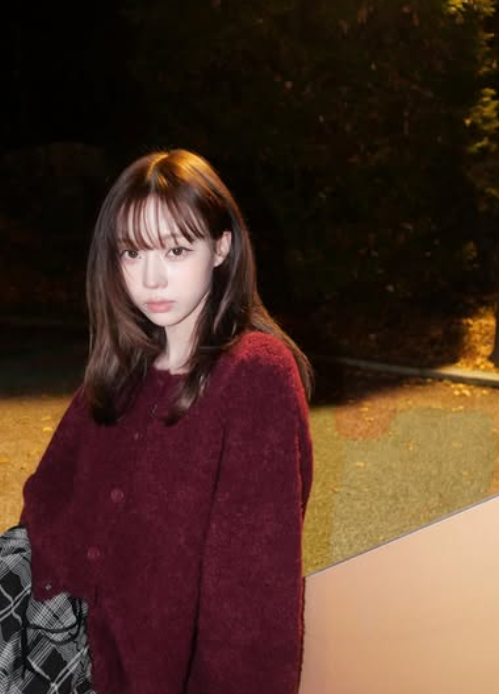  引用：ウィンター SNS