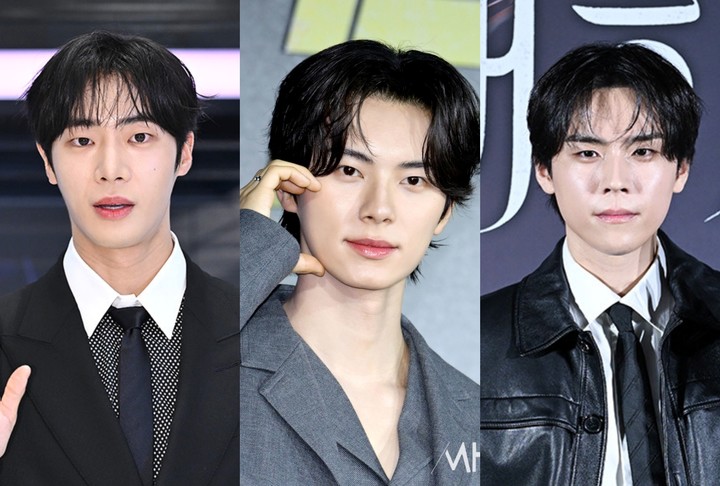  引用：MHN、tvN、ライブ、NETFLIX、TVING