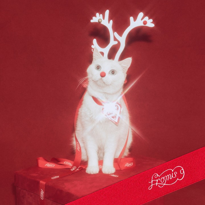 引用:MHN、アセンド