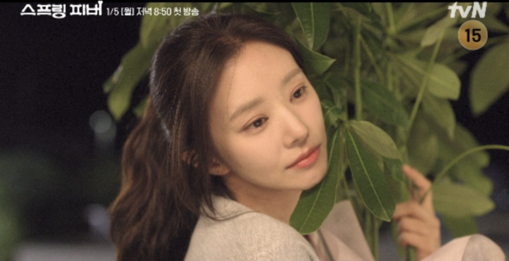  引用：tvN「スプリング・フィーバー」