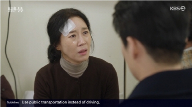 引用:KBS 2TV「華麗な日々」