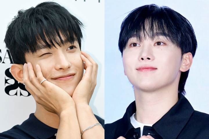 引用:MHN、PLEDISエンターテインメント