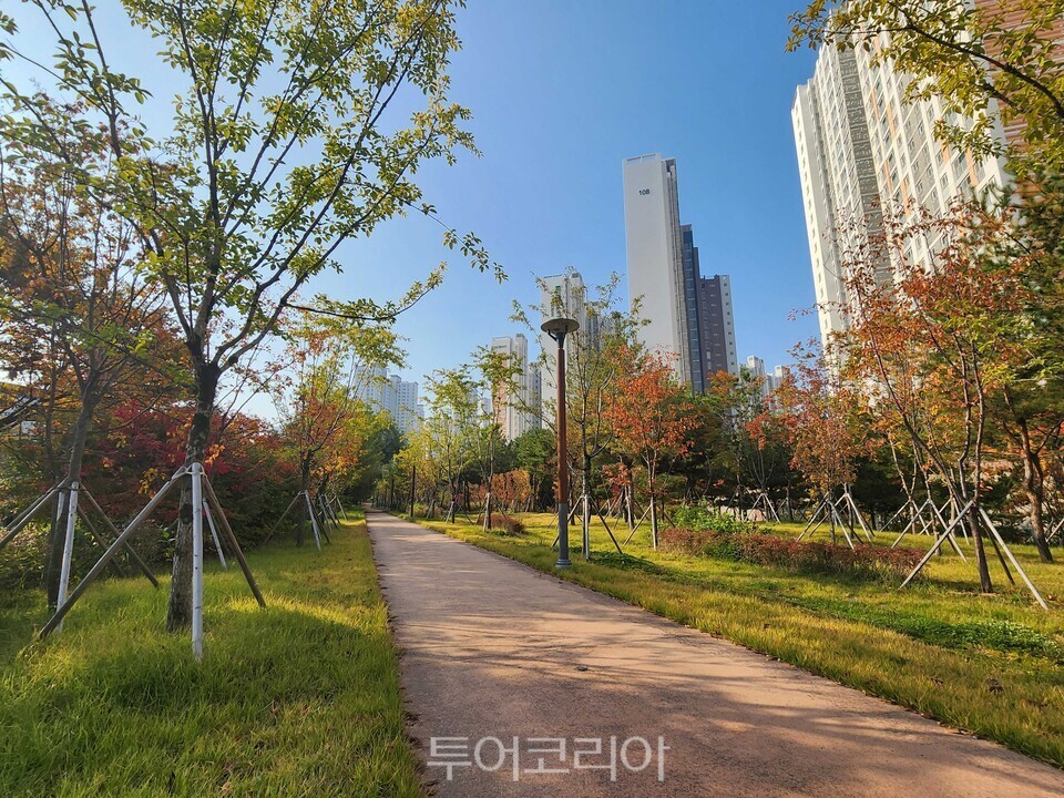 경상북도 구미시 구미국가산업단지 미세먼지 차단숲/사진-산림청