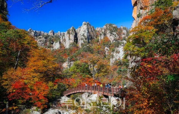 설악산국립공원 단풍/사진-클룩