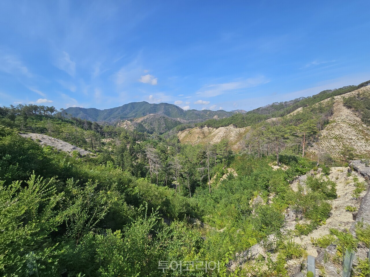 국립울진생태숲지정대상지 / 사진-산림청
