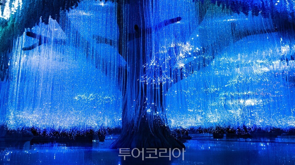 이나트 전시 /사진-모나용평