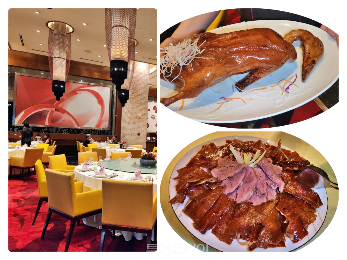 186석 규모의 중식당 ‘레드 랜턴(Red Lantern)’에서는 애저구이(Suckling pig), 북경오리구이(Peking duck) 등 정통 중식요리를 맛볼 수 있다.