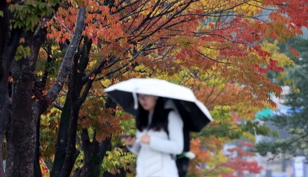 [기상속보]크리스마스이브 오늘날씨 출근길 빙판길 조심 이틀간 5~20㎜ 비 강원산지 1~5㎝ 눈 서울 낮 6도...주말,주간예qh/사진=연합뉴스
