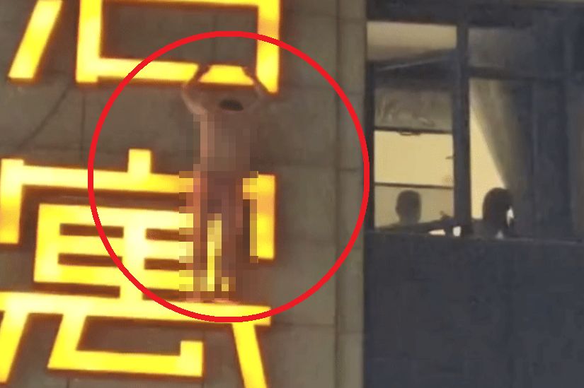 引用： 新楚日報