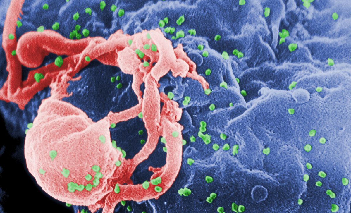 引用：ウィキペディア