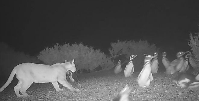 引用：Serota・et・al./ProcB