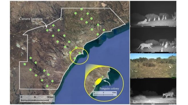 引用：Serota・et・al./ProcB