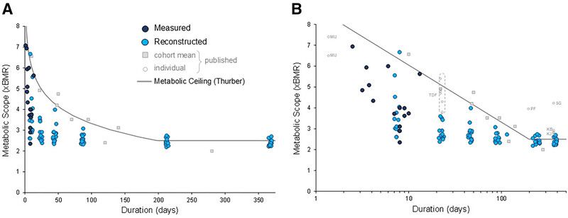 引用：Pixabay*この画像は記事の内容と一切関係ありません