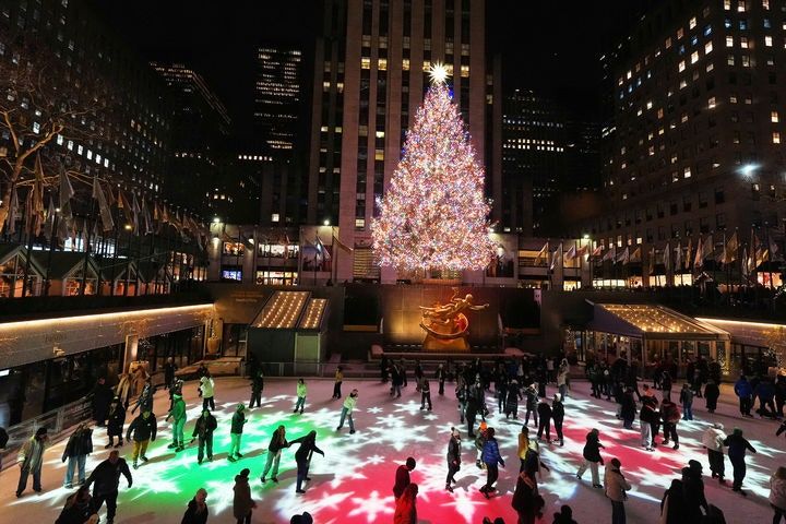 引用:ニューシス