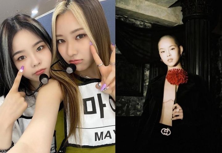 引用： Instagram@cocona_xg