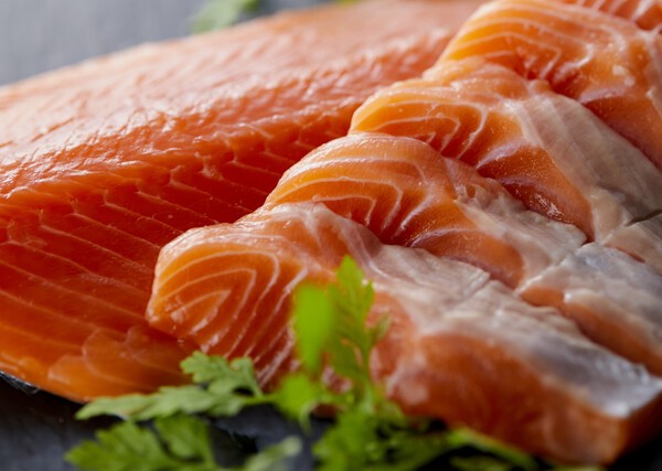 shunsentanbou