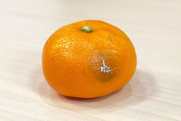 kajuen
