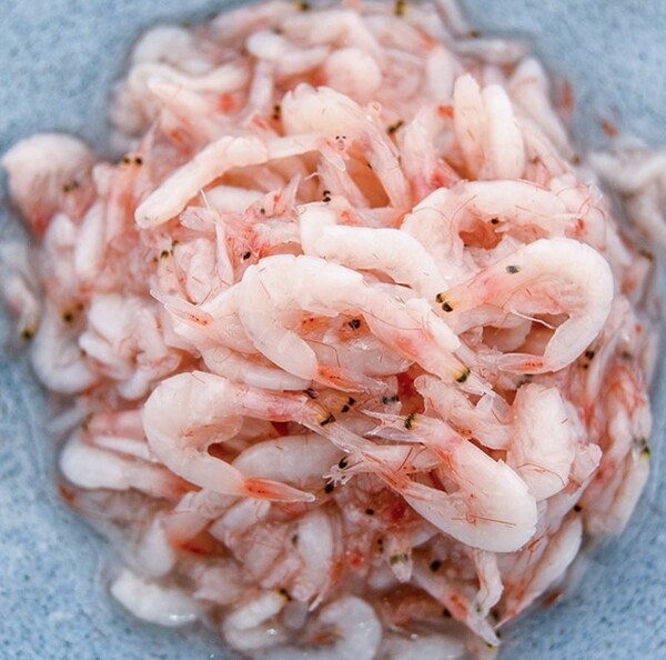 ameblo