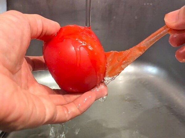 kurashinista