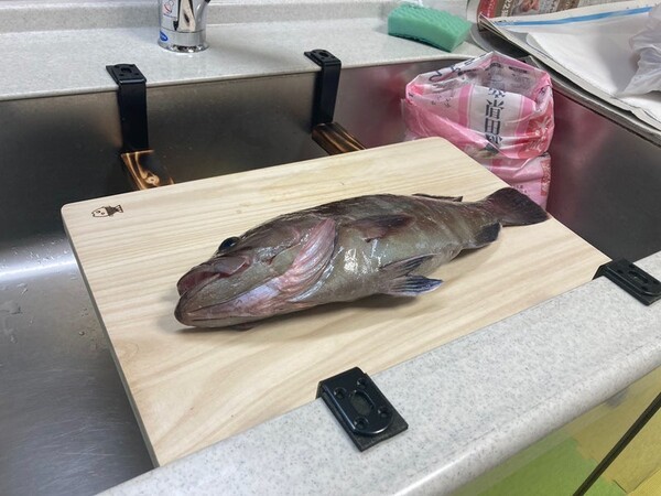 ameblo