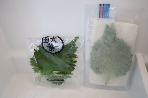 kurashinista