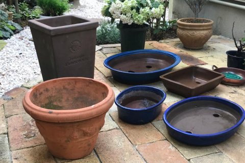 horti