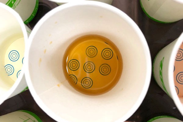 midori-hp