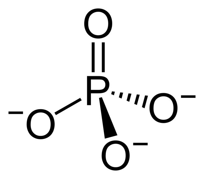 인산염 구조