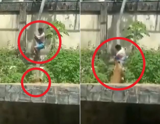 引用：X（旧Twitter）