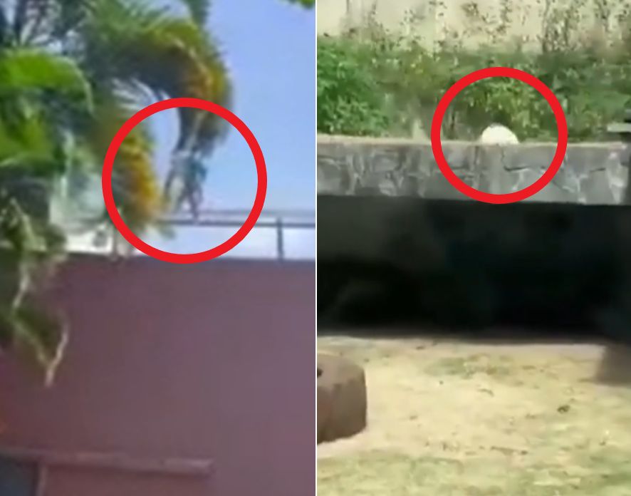  引用：X（旧Twitter）