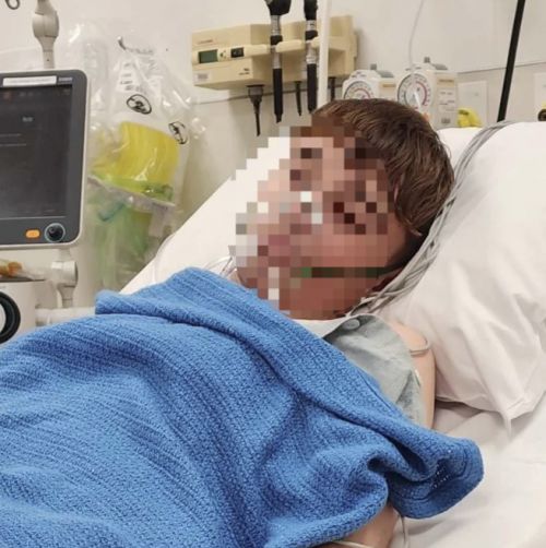  引用：ザ・サン