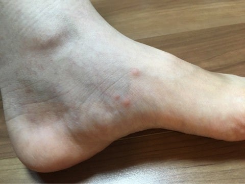 온라인 커뮤니티