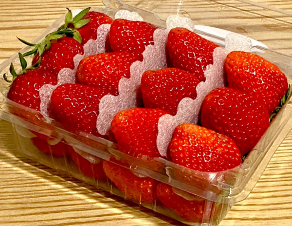 온라인 커뮤니티
