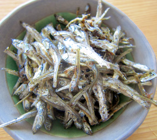 온라인 커뮤니티