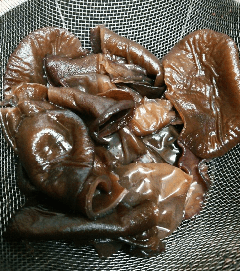 온라인 커뮤니티