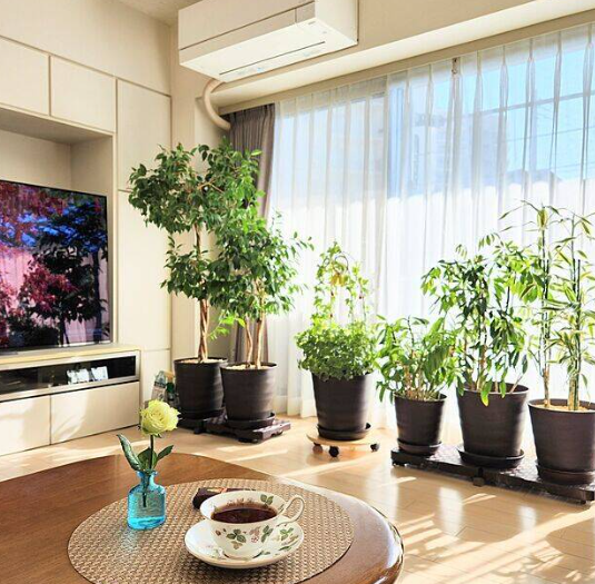 온라인 커뮤니티