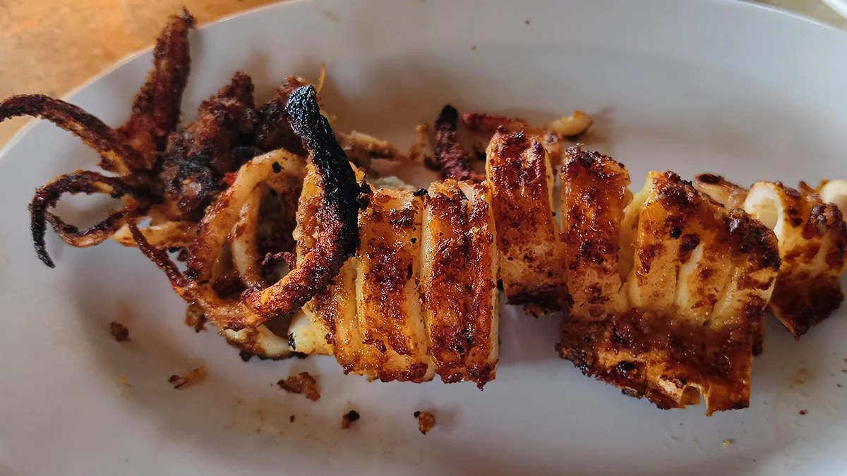 the-benefits-of-squid-and-squid-ink-3