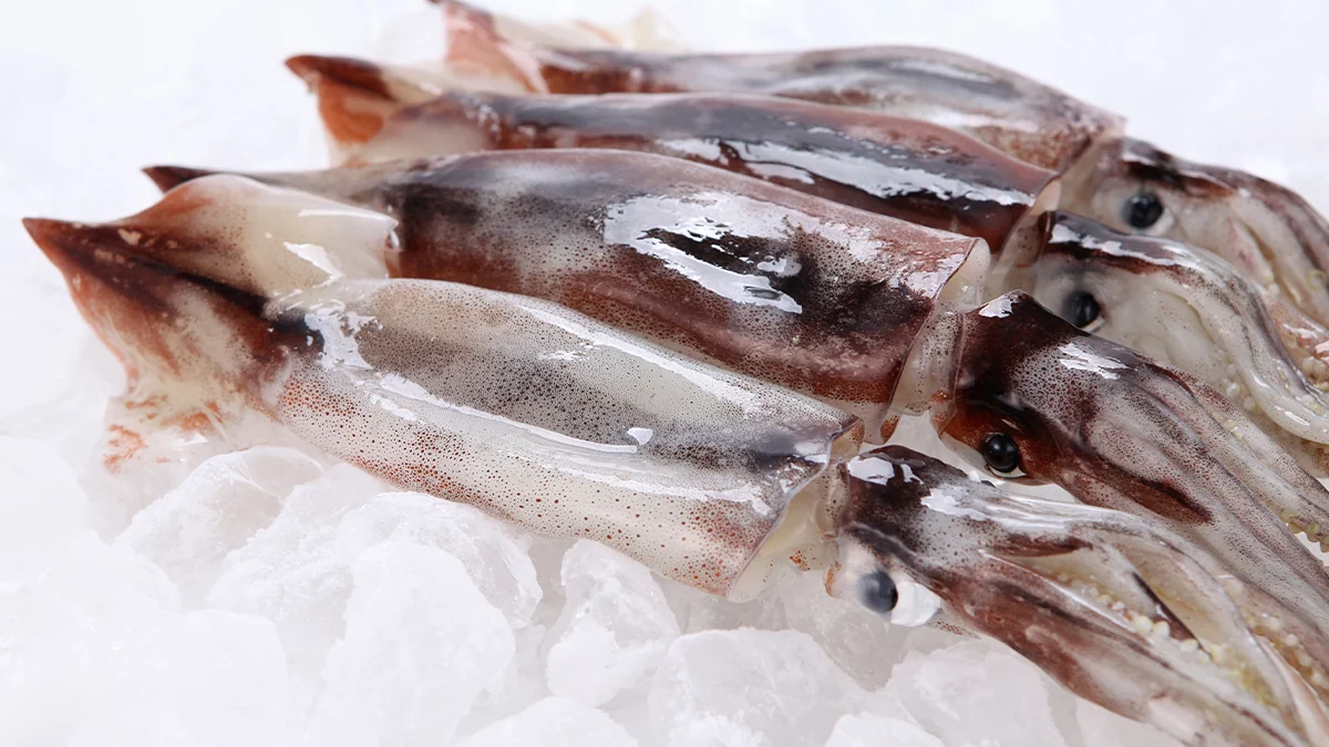 the-benefits-of-squid-and-squid-ink-2