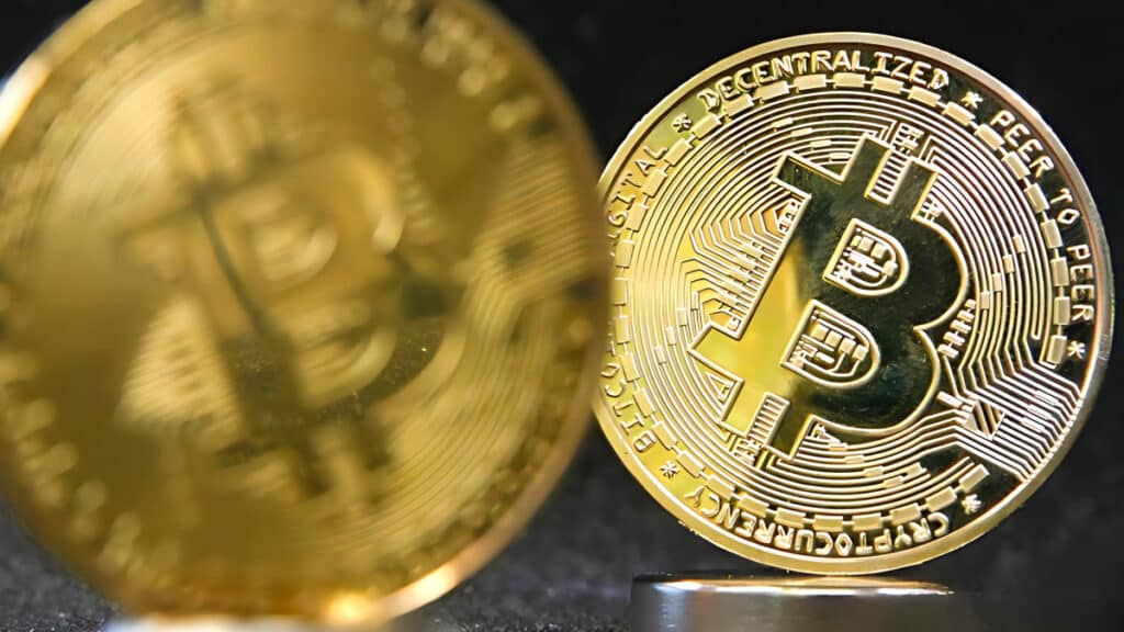 Bitcoin Harvard Collection
