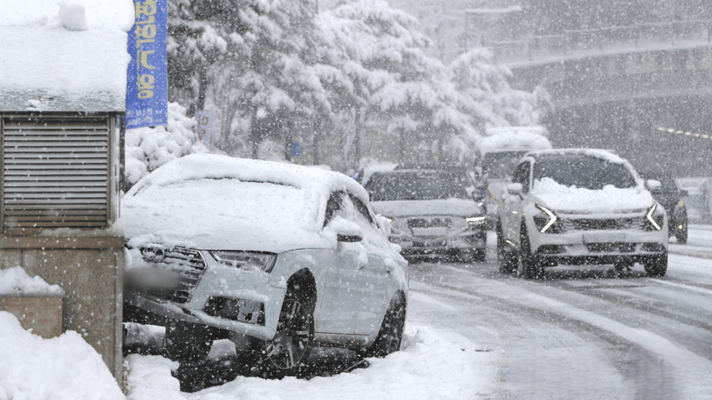 빙판길 사고 치사율