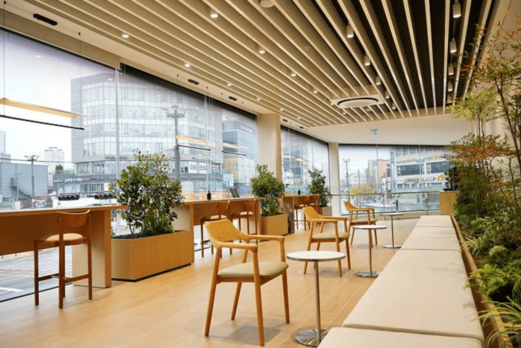 BYD Auto 송파전시장 오픈