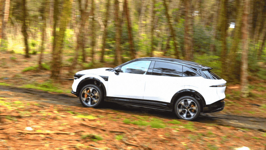 지커 한국 진출