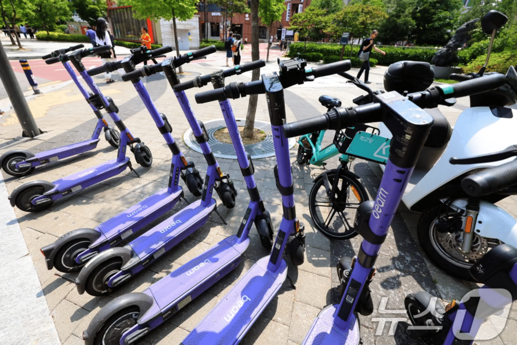 2026년 교통법규 개정