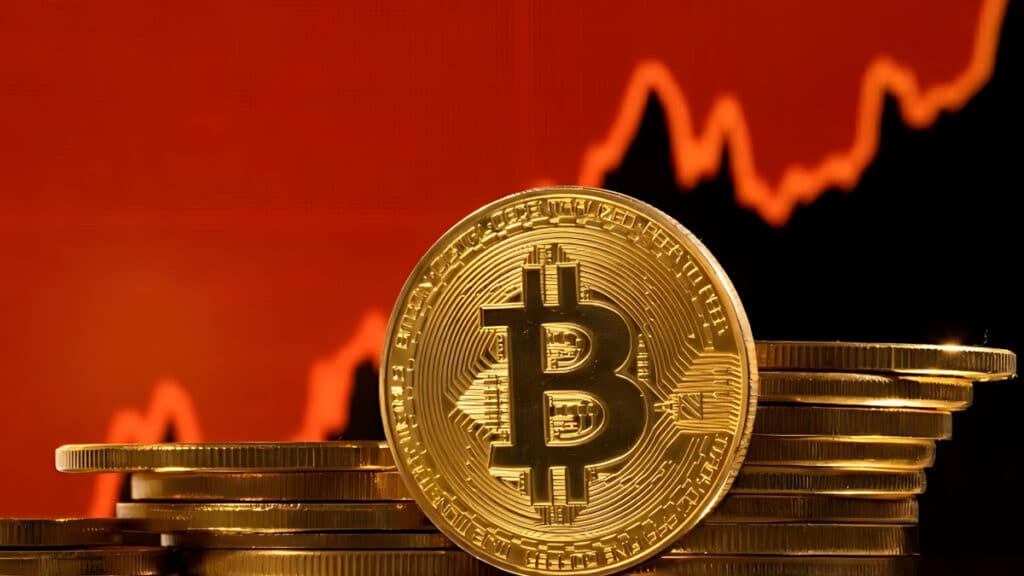 Bitcoin Harvard Collection (3)