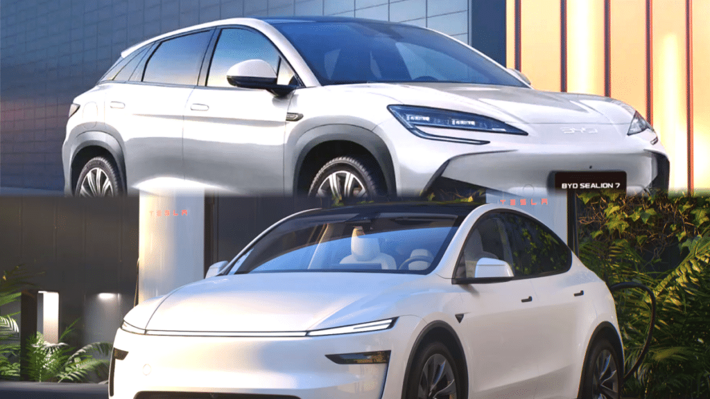 테슬라 BYD 11월 판매량