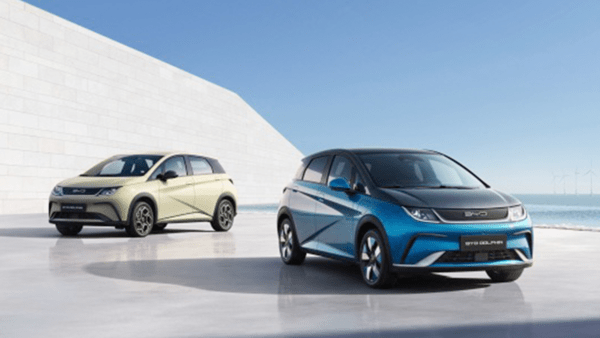BYD 돌핀 / 사진 = BYD