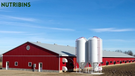 Courtesy of EASY Holdings