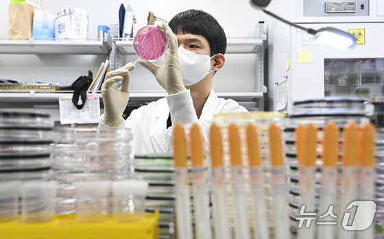 An employee of the Waterborne Disease Team in the Infectious Disease Research Division at the Gyeonggi Provincial Health and Environment Research Institute in Gwonseon-gu, Suwon-si, Gyeonggi-do, is conducting a food poisoning bacteria culture test / News1
